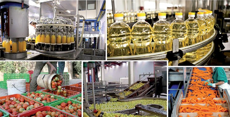 «تصديري الصناعات الغذائية»: مصر نجحت في تحقيق 3.5 مليار دولار من الصادرات في 8 شهور