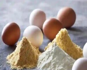متي يستخدم مسحوق البيض بديلا لـ«البيض الطازج»؟