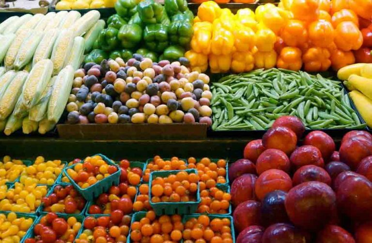 «سلامة الغذاء»: 170 ألف طن صادرات زراعية في إسبوع و551 إذن تصدير لحاصلات الزراعية