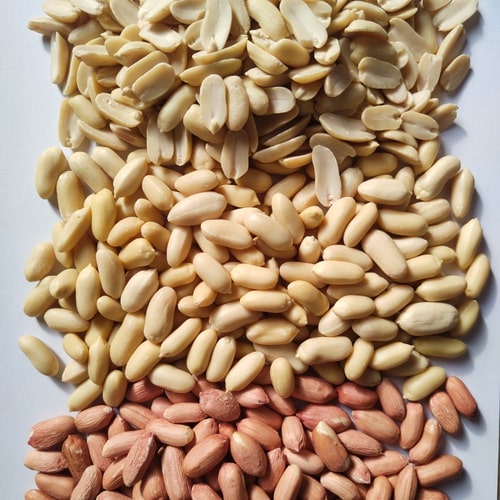 الفول السوداني
