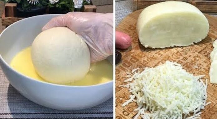 طريقة تصنيع جبنة الموزاريلا في المصنع والمنزل