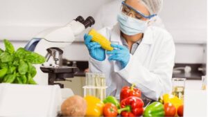 ما هى شهادة food safety ؟ .. مميزات الحصول عليها