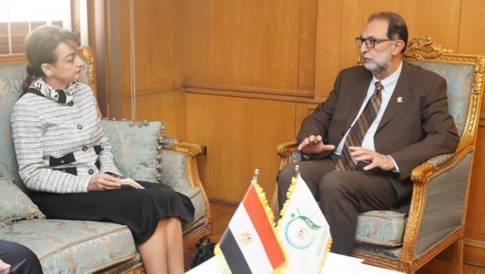 الهوبي خلال استقباله سفيرة رومانيا بالقاهرة