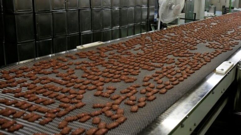 مصر بين أكبر مصدري الشيكولاتة وتحقق صادرات بقيمة 273 مليون دولار في 2025 بنمو 53%