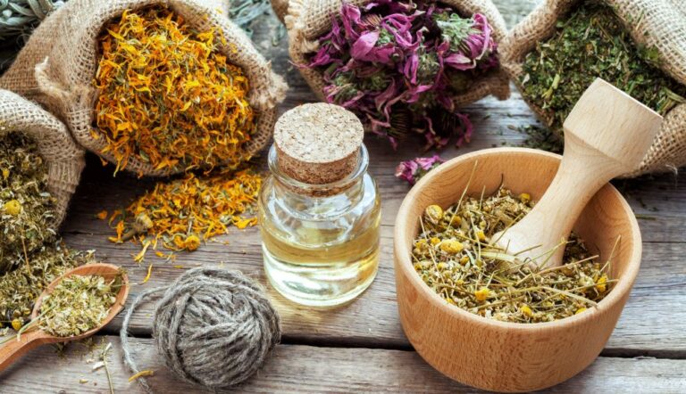 قطاع النباتات الطبية والعطرية والتوابل