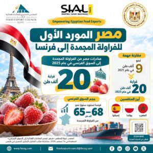 المجلس التصديري للصناعات الغذائية: مصر تتصدر موردي الفراولة المجمدة إلى فرنسا بصادرات تقارب 20 ألف طن