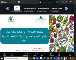 المجلس التصديري: الاتحاد الأوروبي يستحوذ على 22% من صادرات الصناعات الغذائية المصرية ويسجل أعلى معدل نمو بين التكتلات