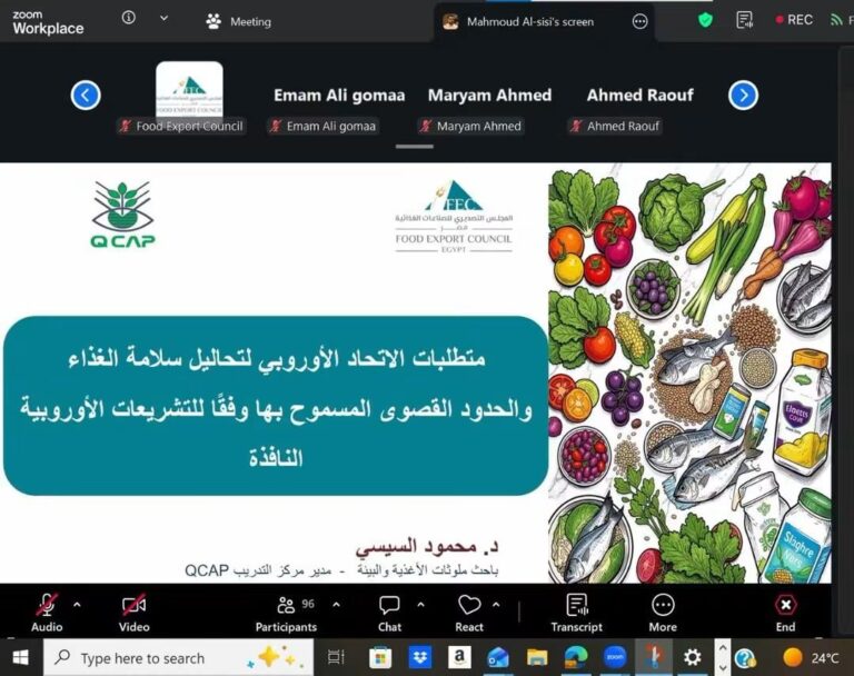 المجلس التصديري: الاتحاد الأوروبي يستحوذ على 22% من صادرات الصناعات الغذائية المصرية ويسجل أعلى معدل نمو بين التكتلات