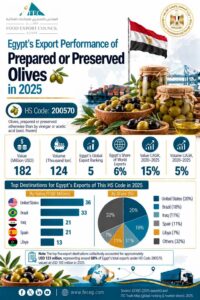 صادرات الزيتون المصري تسجل 182 مليون دولار خلال 2025 وتحتل المركز الخامس عالميًا