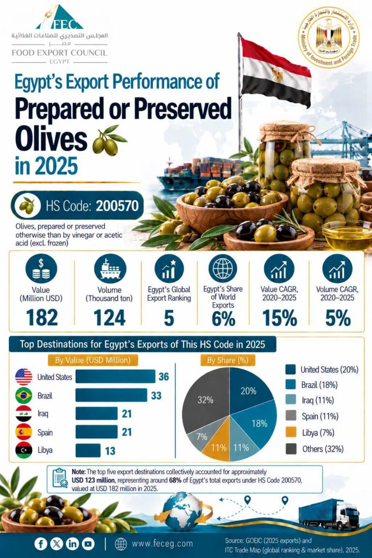 صادرات الزيتون المصري تسجل 182 مليون دولار خلال 2025 وتحتل المركز الخامس عالميًا
